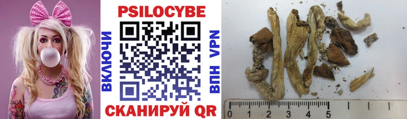 Галлюциногенные грибы Psilocybine cubensis  купить наркотики сайты  Мирный 
