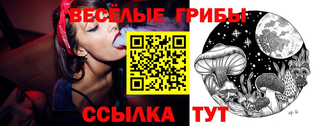 Псилоцибиновые грибы Magic Shrooms  Вход с VPN  Мирный  Галлюциногенные грибы Cubensis 