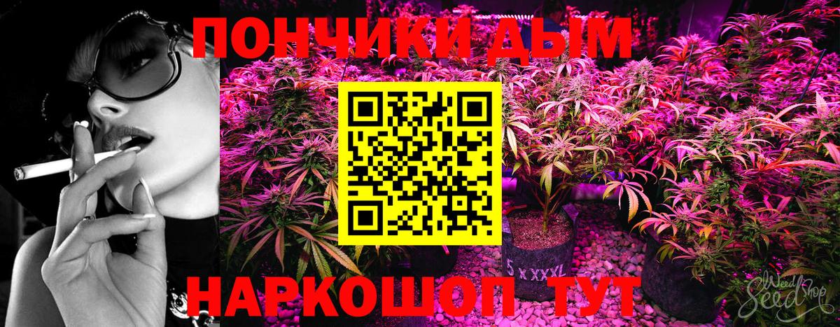Конопля индика Мирный